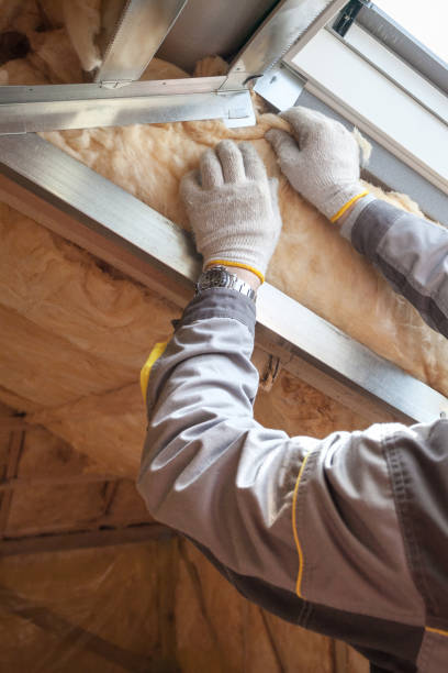 Types of Insulation We Offer in CA